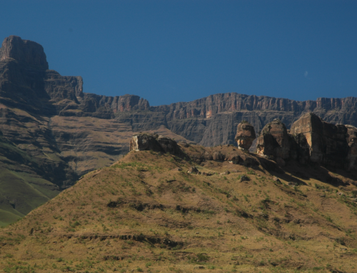 Voyage de noces Afrique du Sud