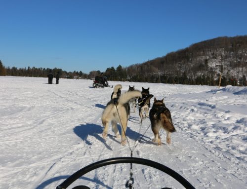 Voyage de noces Canada hiver