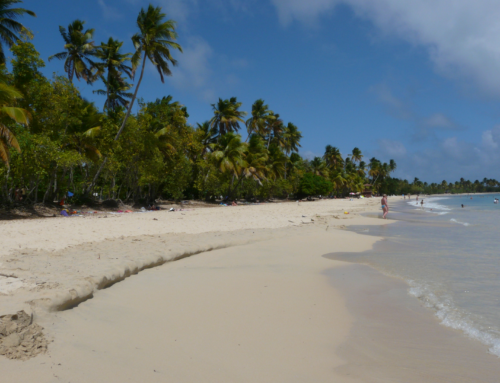 Voyage de noces Martinique