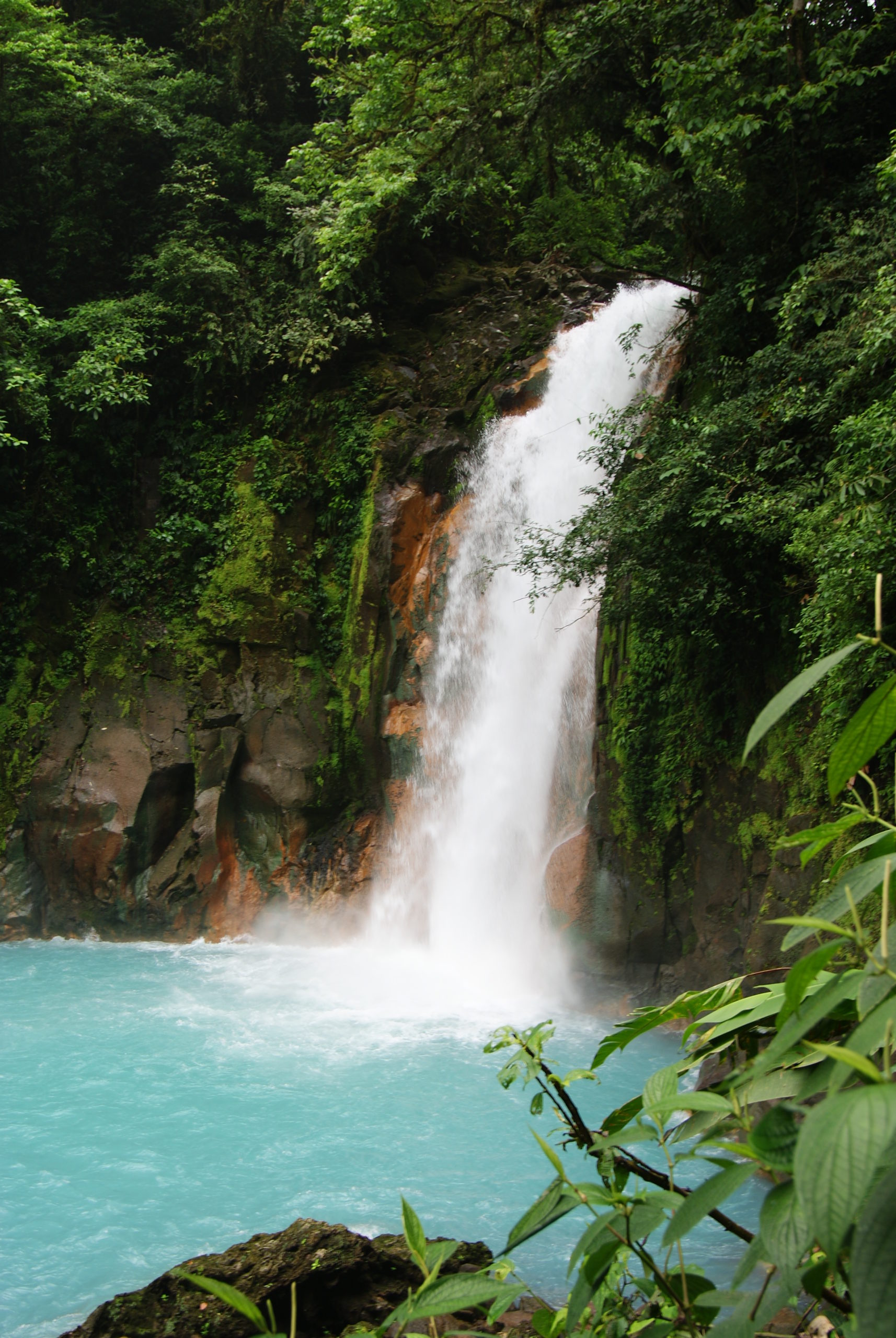 Tenorio