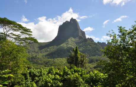 Polynesie