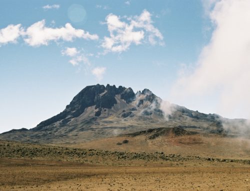 Voyage de noces Tanzanie