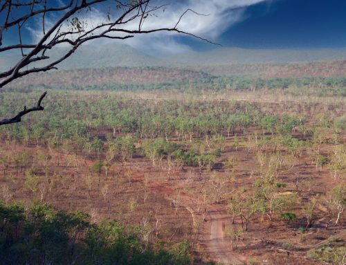 Voyage au bout du monde : mon voyage de noces en Australie